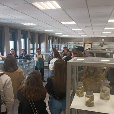 2024 04 24 At Museo Anatomia2